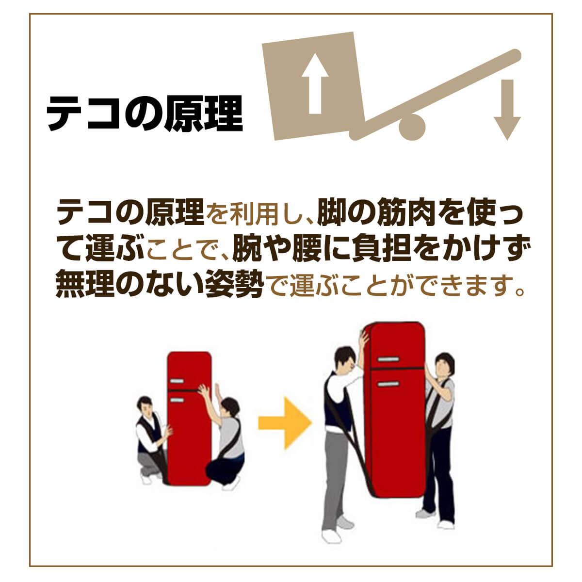 キャリーラクダの利点