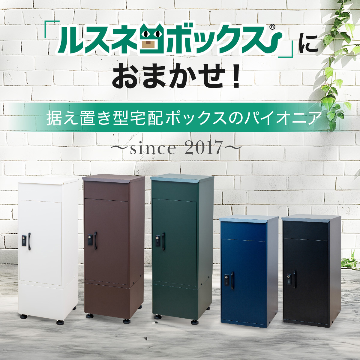 ルスネコボックスが解決！